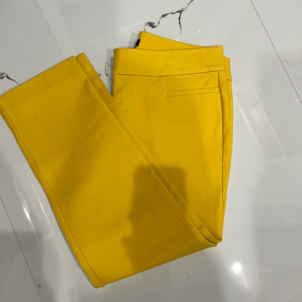 Ann Taylor pant